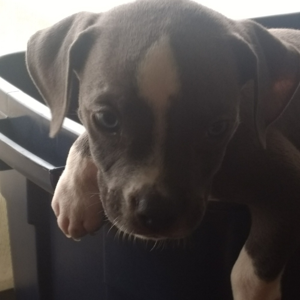 Meet your Posher, Donnalyn